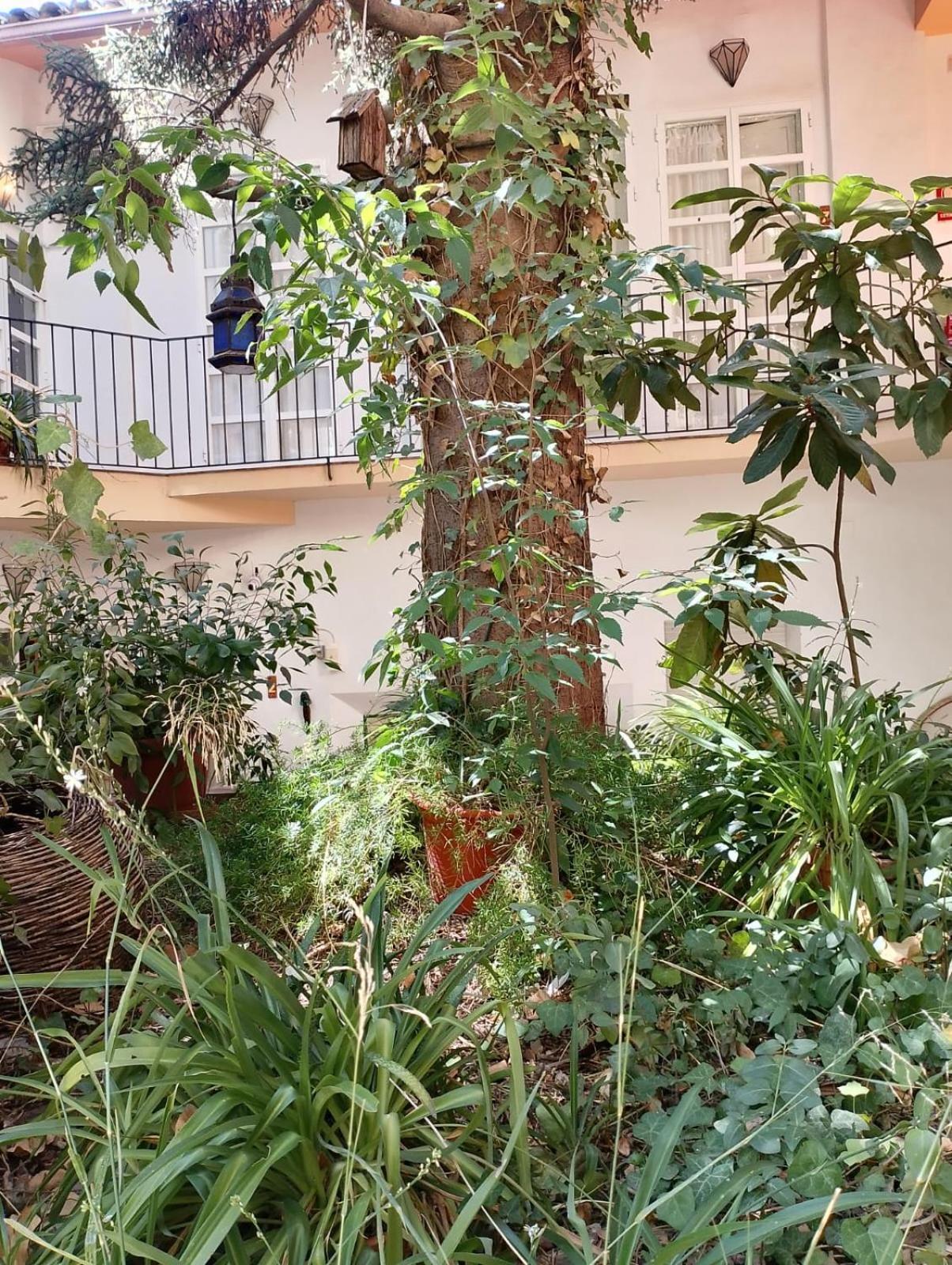 كازورلا Casa Rural Plaza De Santa Maria المظهر الخارجي الصورة
